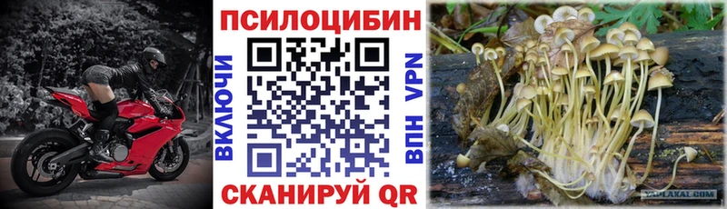 Псилоцибиновые грибы MAGIC MUSHROOMS  omg маркетплейс  Минусинск 
