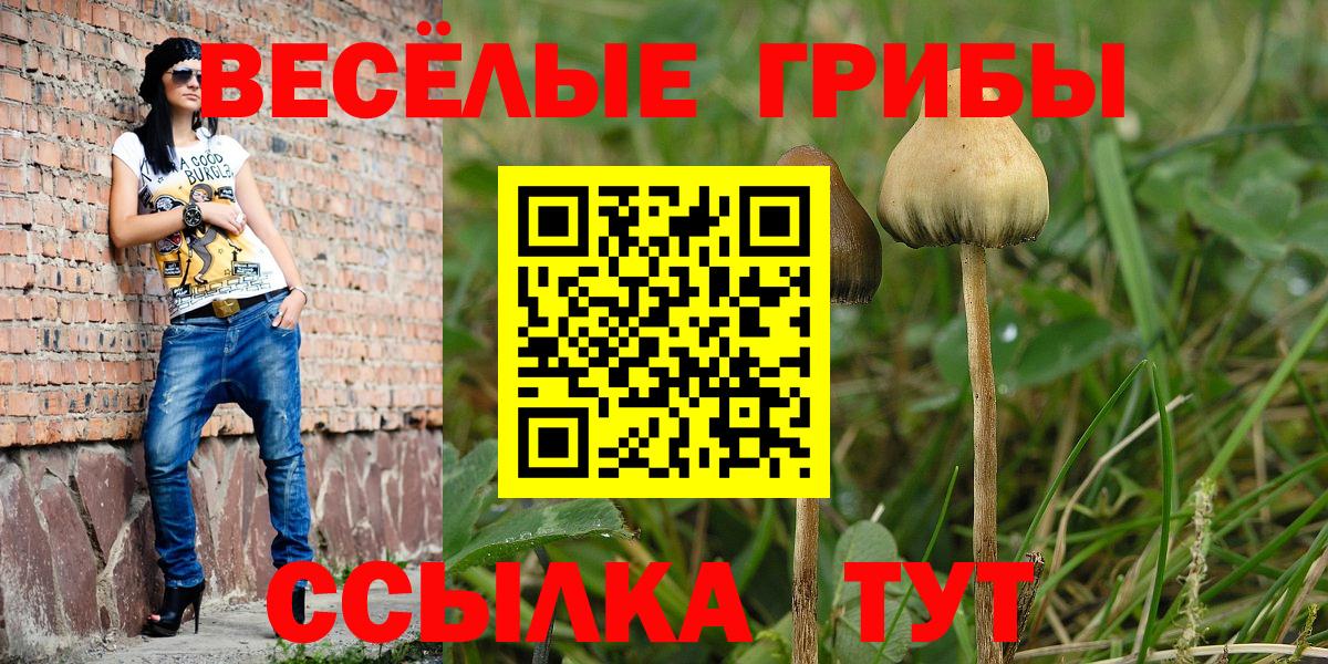 Псилоцибиновые грибы MAGIC MUSHROOMS Минусинск