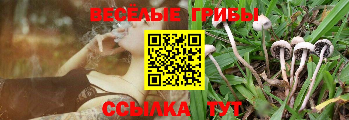 Галлюциногенные грибы Magic Shrooms  Вход с VPN  Минусинск 